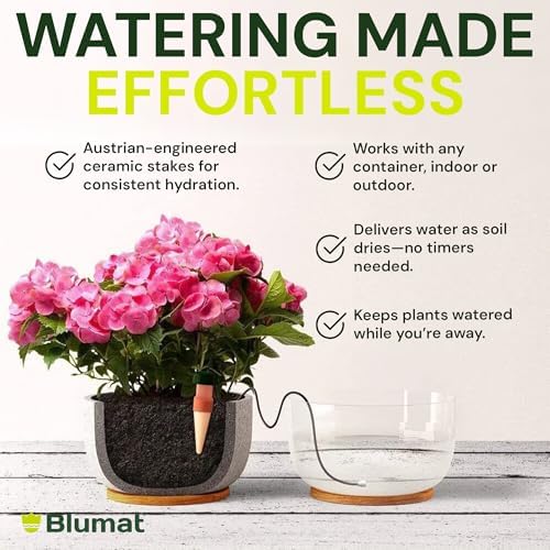 Blumat Classic Self-Watering Stakes - Prevents Overwatering and Underwatering for Healthy Growth While You are Away - Ideal for Indoor Plant Watering, 9 Pack, w Adapter - Image 6