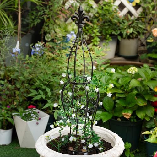 Metal Garden Trellis for Climbing Plants – 29.5" Durable Support - Image 4