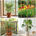 Plant Stakes Natural Bamboo Sticks - 20 Pcs Bamboo Garden Stakes for Plants 4.8 FT Plant Support Sticks with Twist Ties for Tomatoes Beans Flowers Indoor Outdoor Potted Climbing Plants - Image 6