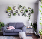 Daniel's Plants 3-Pack Mid-Century Modern L-Shaped Floating Shelves | Solid Wood Plant Wall Shelf Kit | Dusk Grey - Image 7