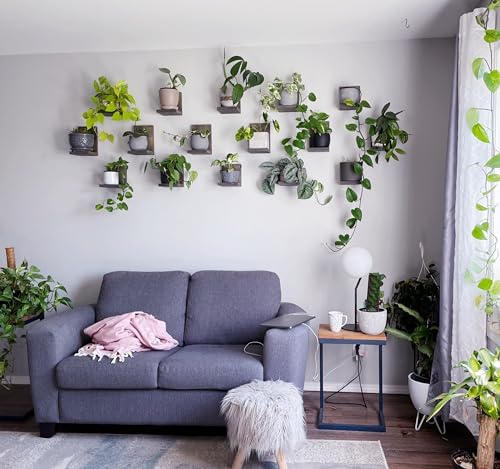 Daniel's Plants 3-Pack Mid-Century Modern L-Shaped Floating Shelves | Solid Wood Plant Wall Shelf Kit | Dusk Grey - Image 7