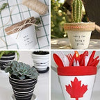 Winlyn 60 Pcs White Terra Cotta Pot - 2.5 Inch Tiny Mini Clay Pots with Drainage Holes Flower Nursery Terra Cotta Pots for Succulent Plants, Crafts, Wedding Baby Shower Favor - Image 7