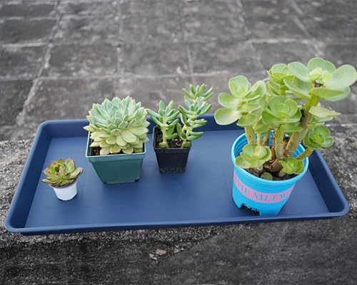VUWEZ 2 Pack Plant Growing Nursery 1020 Trays, Plant Saucer Tray, Heavy Sturdy Seed Starting Trays, Plant Starter Trays for Indoors No Holes, Seed Starter Growing Tray (22"x11.2", Blue) - Image 6