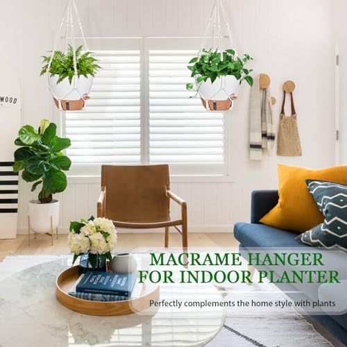 10 Inch Hanging Planters for Indoor Plants & Outdoor, 6 Inch Self Watering Pots for Indoor Plants (5-Pack) Plastic Planters with Water Window, Drainage Holes & Trays - Image 2