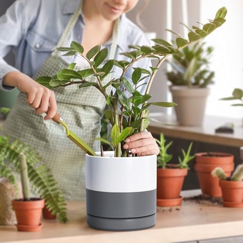D'vine Dev 3-Pack Ceramic Pots with Saucers, 3/4/6 in, White/Grey, 94-T-S-6 - Image 5