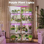 Bamworld Plant Stand with Grow Lights for Indoor Plants Wood Plant Shelf 4 Tier Large Flower Stand for Mutiple Plant Holder Rack for Patio Living Room BalconyDecor Purple Light - Image 2
