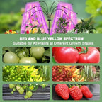 Mefflypee Grow Lights for Indoor Plants, LED Grow Light Stand, Red Blue Yellow Full Spectrum Plant Lamp with Adjustable Tripod, Color Changing Dimmable Vegetative Lamp with Auto On Off Timer (Type A) - Image 3