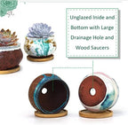 Succulent Pot 4 Inch Hand Glazed Plant Pot Round Ceramic Succulent Planter with Drainage and Saucer Cactus Clay Pot Set of 4 - Image 2