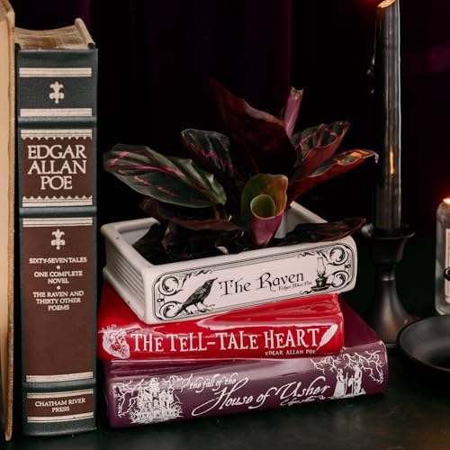 Steel Mill & Co. Book-Shaped Decorative Planter, Edgar Allan Poe - Image 3