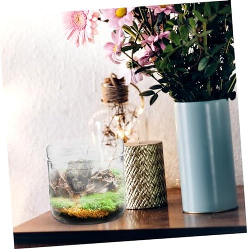 Micro Landscape Planter Bottle Terrarium Glass Display Container Xmas - Image 7