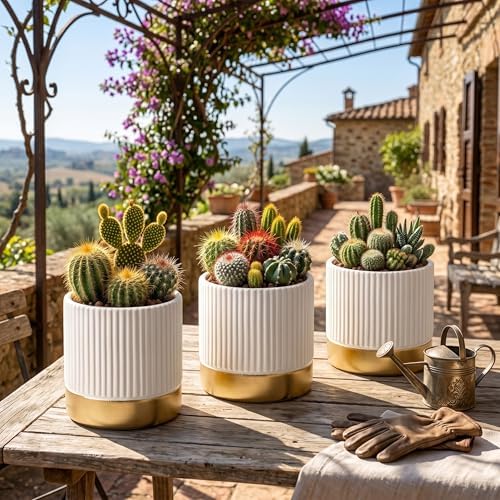 Set of 3 Cement Planter Pots with Drainage Hole,4 inch Plant Pots for Plants Indoor Houseplants,Succulent Pots Windowsil Planter (White&Gold) - Image 5