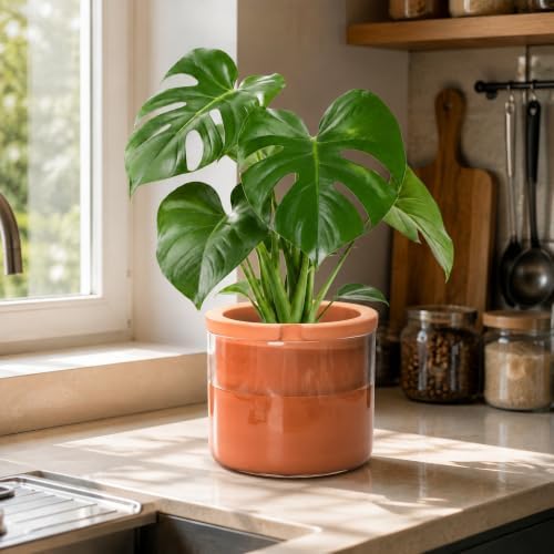 Phoenix Vine 8 Inch Self Watering Planter, Design Terracotta Pot for Plants, Indoor Cylinder Terra Cotta Pot with Glass Vase, Set of 1, 51-A-H-1 - Image 7
