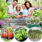10 Pack Seeds Grow Tray, Plant Germination Starter Kit, Mini Greenhouse Propagator Trays, Germination Trays with Labels & Seedling Tools(13 Cells Per Tray),Green - Image 3