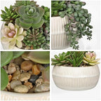 DILATATA Artificial Succulent Plants in Pot 5.5 Inch Fake Succulents Arrangement Potted Plant in White Ceramic Planter Bowl for Home Office Desk Shelf Living Room Bedroom Bathroom Decor - Image 3