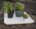 VUWEZ 2 Pack Plant Growing Nursery 1020 Trays, Heavy Sturdy Seed Starting Saucer, No Holes Starter Tray for Indoors (22"x11.2", Creamy White) - Image 5