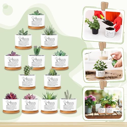 12 Pcs Difference Maker Gifts Succulent Pots Bulk for Employee - Image 3