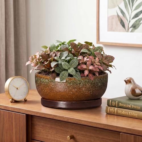 Ceramic Bonsai Pots, 8 Inch Succulent Pots with Tray, Speckle Brown - Image 6