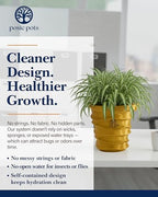 Posie Pot Medium Wave Self Watering Planter for Indoor Plants - 5x5 Inch Patented Pot with 10X Water Reservoir - Modern 3D Printed Desk Planter - Root Rot Free - Eco Friendly, Made in USA, Gold - Image 6