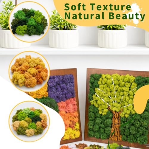Preserved Reindeer Moss, 17.64oz -Fruit Green - Image 4