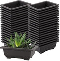 SEUNMUK 30 PCS 6.5 Inch Plastic Bonsai Training Pots, Thicken Rectangular Plastic Growing Pots, Flower Succulent Pots Container, Bonsai Plants Growing Pot for Home, Office, Balcony, Garden and Yard by SEUNMUK