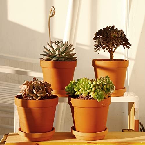 Yishang Large Terra Cotta Pots with Saucer- 6 Pack Large 6'' Terra Cotta Plant Pot with Drainage Hole, Flower Pot with Tray, Terracotta Pot for Indoor Outdoor Plant - Image 4