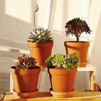 Yishang Large Terra Cotta Pots with Saucer- 6 Pack Large 6'' Terra Cotta Plant Pot with Drainage Hole, Flower Pot with Tray, Terracotta Pot for Indoor Outdoor Plant - Image 4