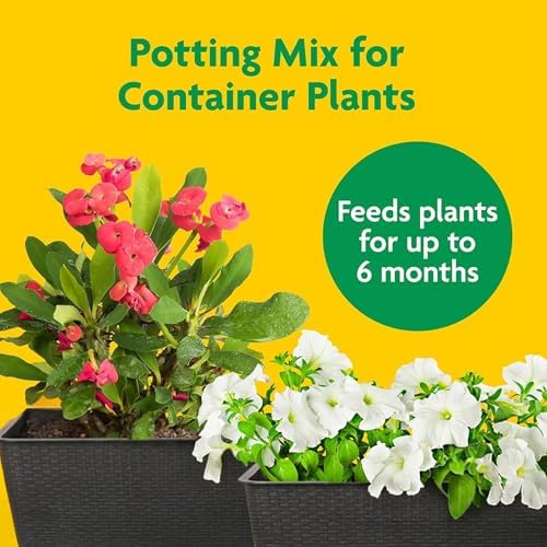 Miracle-Gro 2 Pack Potting Soil Mix for Container Plants, Flowers, Vegetables, Shrubs, Annuals, and Perennials, Feeds for Up to 6 Months, 2 Cu Ft - Image 3