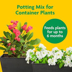 Miracle-Gro 2 Pack Potting Soil Mix for Container Plants, Flowers, Vegetables, Shrubs, Annuals, and Perennials, Feeds for Up to 6 Months, 2 Cu Ft - Image 3