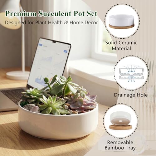 ZOUTOG 6 Pack 6" Ceramic Succulent Pots, White Planters with Drainage Tray - Image 6