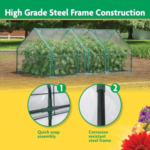 Miracle-Gro Greenhouse, Quick Snap Assembly, Clear, 3'x8'x3' - Image 4