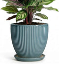 6 Inch Plant Pot Indoor, Ceramic Pots for Snake Succulent Plants, Decorative Round Flower Pots with Drainage Hole and Saucer, Modern Planter, Bookshelf Decor, Gifts for Men Women, Glaze Blue by Unknown