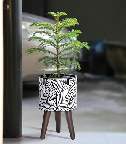 D'vine Dev 8 Inch Planter Pot with Wood Stand, White/Grey, 88-L-A-7 - Image 2