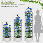 Square Tomato Cages for Garden, 6.2 FT Cucumber Trellis for Flowers, Grape, Pea, Rose, Bean, Rustproof Plastic Coated Metal Plant Support for Potted Plants Indoor Outdoor - 2PC Obelisk Trellis - Image 5