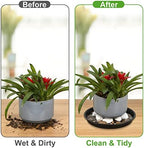 8 Pack 10Inch 12Inch 14Inch 15 Inch Plant Saucer Plastic Plant Saucer Drip Trays Plant Saucers for Indoors Outdoor Plant (10+12+14+15 inch) Black - Image 4