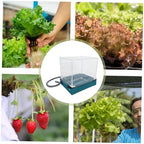 Mini Succulent Greenhouse Plant Box with Drainage and Weather Protection - Image 3