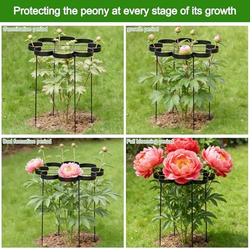 25" Peony Cages and Supports Elegant Modern Flower Support Stakes - Image 4