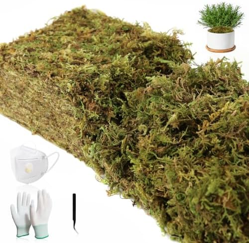 2.25LBS Artificial Fake Grass Green Moss for Crafts Plants Indoor by Unknown