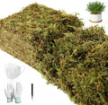 2.25LBS Artificial Fake Grass Green Moss for Crafts Plants Indoor by Unknown