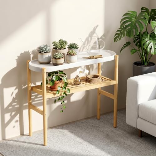 Bamboo Plant Stand Indoor, 2-Tier Plant Shelf Table for Multiple Plants by Wisuce