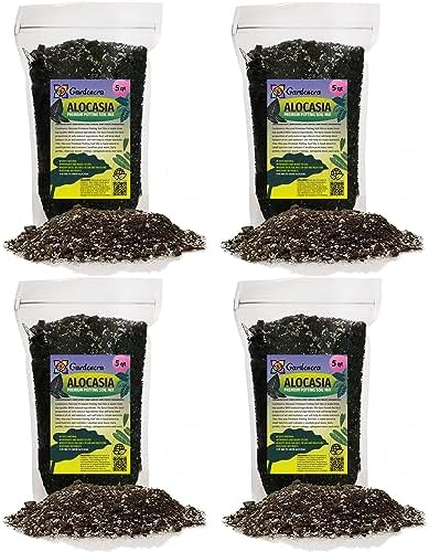Gardenera Alocasia Potting Mix - Unlock Robust Growth and Striking Leaves with Our High-Performance Formula - 20 Quart by Gardenera