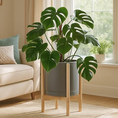 D'vine Dev Ceramic Pot with Natural Wood Stand, Grey, 12 in, 55-B-J-3 - Image 2