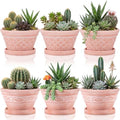 Maxdot Set of 6 Embossed Succulent Pots 6" Small Terracotta Pot, Wide Style by Maxdot