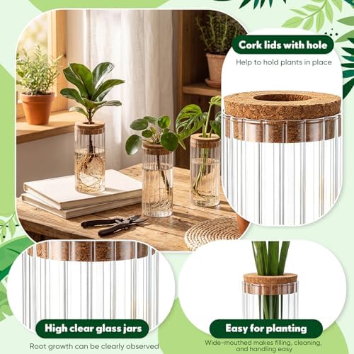 6 Set Propagation Station Jar Desktop Glass Planter Station Flower Vases Water Terrarium Jar with Cork Lid for Propagating Flower Plants Centerpiece Office Home Garden Decor(Medium) - Image 3
