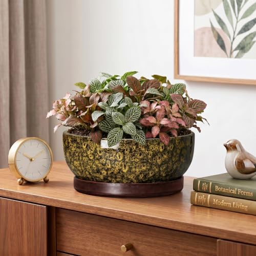 8 Inch Ceramic Succulent Pots with Saucer, Yellow Leopard - Image 6