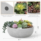MyGift 8 Inch Round Artificial Succulent Plants in Gray Concrete Plant Bowl - Image 5