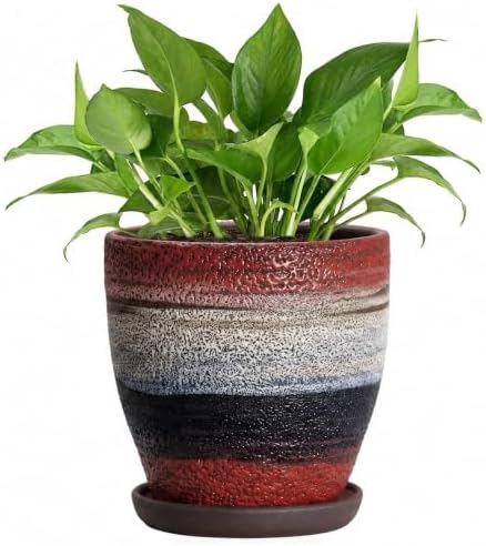 6 Inch Ceraimc Planters, Ceraimc Plant Pots Indoor, Rainbow by EPFamily