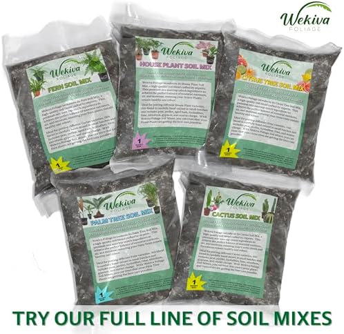 Fern Growing Soil Mix – 10 Quarts - Custom Soil Blend – Potting Mix for Fern Plants – Specially Developed by and for Professional Nursery Growers - Nutrient-Rich Formula - Image 4