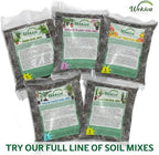 Fern Growing Soil Mix – 10 Quarts - Custom Soil Blend – Potting Mix for Fern Plants – Specially Developed by and for Professional Nursery Growers - Nutrient-Rich Formula - Image 4