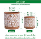 D'vine Dev Set of 2 Terracotta Pots, Leaf Pattern Planter Pot, 4 Inch and 6 Inch, Pot with Drainage Hole and Saucer, Terracotta/White, 31-958-T-1 - Image 2