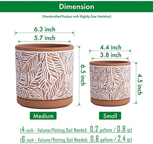 D'vine Dev Set of 2 Terracotta Pots, Leaf Pattern Planter Pot, 4 Inch and 6 Inch, Pot with Drainage Hole and Saucer, Terracotta/White, 31-958-T-1 - Image 2